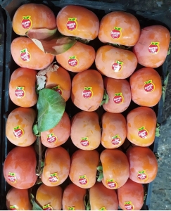 آشنا برچسب